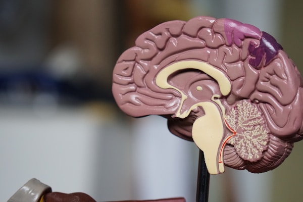 Robotic Surgery Breakthrough